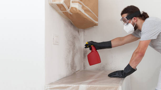 Professional Mold Inspection And Testing technician working in Balfour, NC